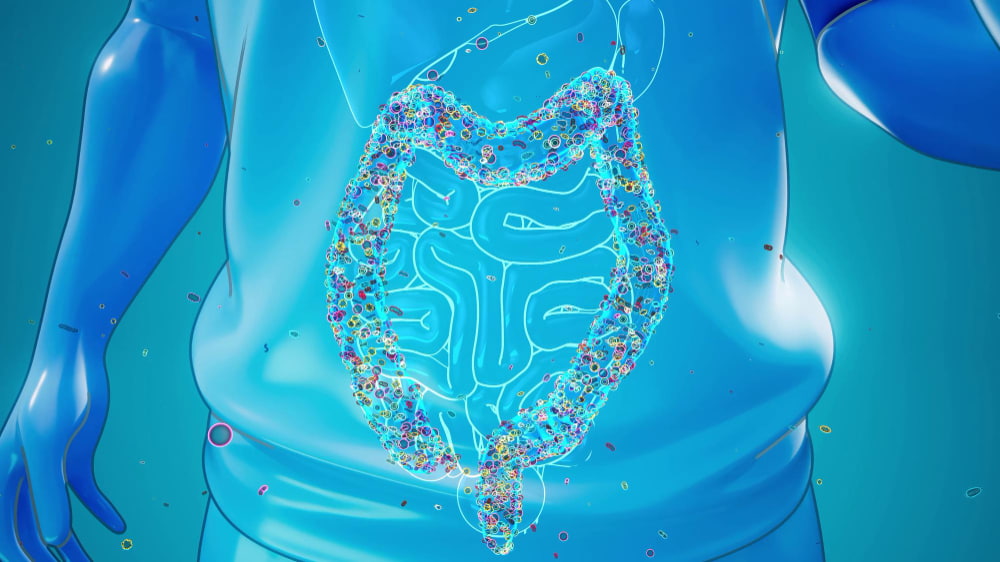 tratamiento sindrome intestino irritable