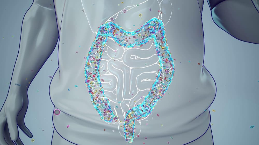 tratamiento integrativo permeabilidad intestinal