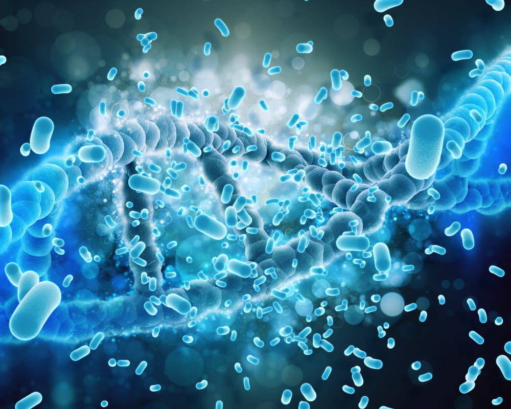 Tratamiento disbiosis intestinal