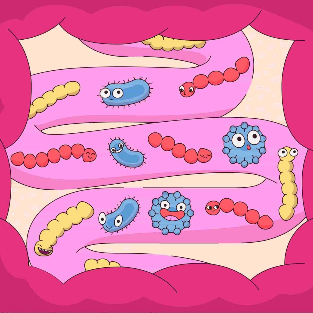 Tratamiento disbiosis intestinal