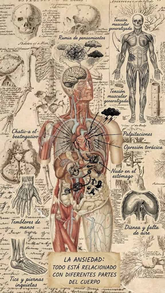 especialista ansiedad medicina integrativa